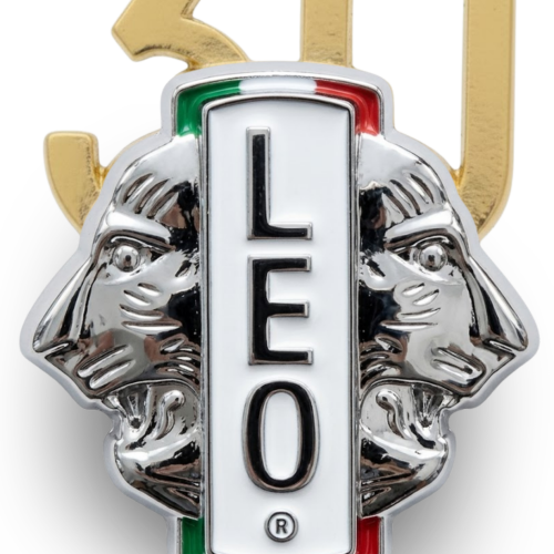 Spilla 30esimo Leo Club Italia